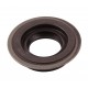 Oil seal 1447294M1