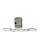 Piston with rings 30/32-13 [Bepco]