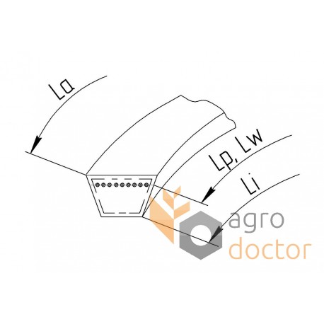 Courroie à vitesse variable 0111241 [Gates Agri]