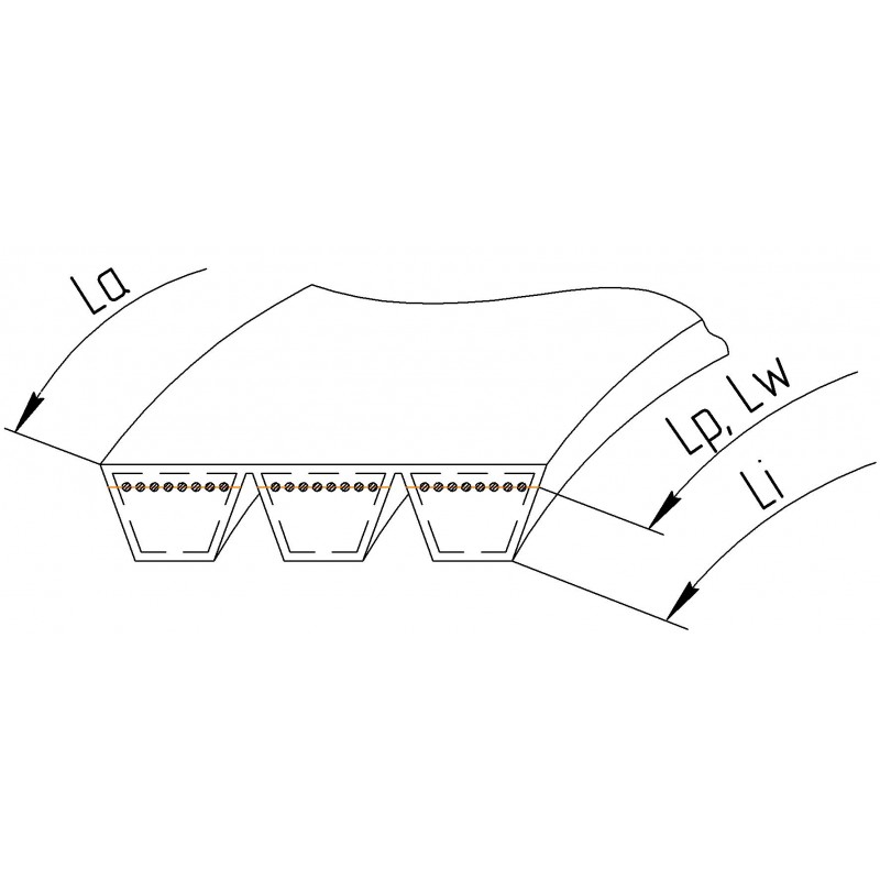 Wrapped banded belt Z46222 [Roflex Joined]