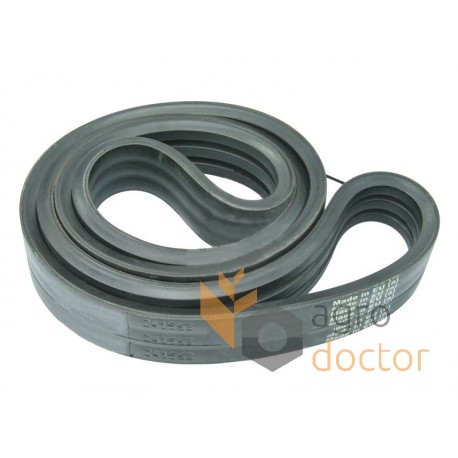 Wrapped banded belt 3HB-2470 [Tagex]
