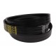 Wrapped banded belt 3HB-3390 Gates (01424296)