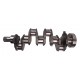 Crankshaft (3/10 holes) for Perkins engine [Genmot]