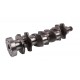 Crankshaft (3/10 holes) for Perkins engine [Genmot]