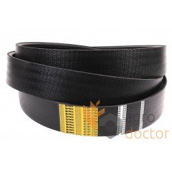 Wrapped banded belt Z38697 [Stomil Harvest]