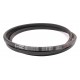 06240268 Double (hexagonal) V-belt suitable for Deutz-Fahr HCC151 [Roflex Dual Continental]