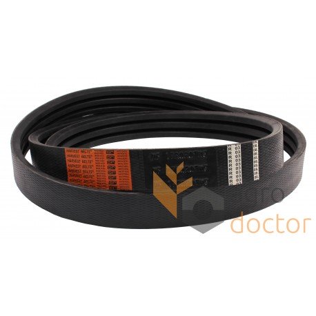 Wrapped banded belt 1720205M3 [Stomil Harvest]