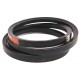 Classic V-belt 233843.1 Harvest Belts B17x1670 [Stomil]