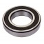 234821.0 - 0002442740 - AZ100641 Deep groove ball bearing  [SKF]