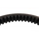 Variable speed belt 320551M1 Agridur HJ105 [Conti-Tech]