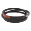 406888M1 pasuje do Massey Ferguson - Pas klinowy Cx2865 Lw Harvest Belts [Stomil]