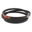 406888M1 suitable for Massey Ferguson - Classic V-belt Cx2865 Lw Harvest Belts [Stomil]