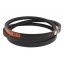 406888M1 passend fur Massey Ferguson - Keilriemen Cx2865 Lw Harvest Belts [Stomil]