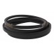 Classic V-belt 785176.0 [Claas] B17x4094 [Agro-Belt]