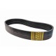 Wrapped banded belt 1426293 [Gates Agri]