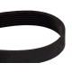 Multiple V-ribbed belt 8PK1438 [Conti-Tech]