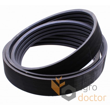 Wrapped banded belt 4HB-1850 [Tagex]