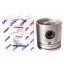 Piston avec axe 3637035M91 pour moteur Massey Ferguson, segments