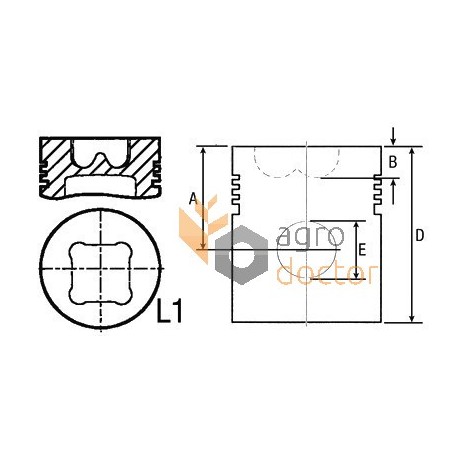 Kolben mit Bolzen 3637035M91 fur Motor Massey Ferguson, Ringe