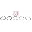 Piston ring set 3114778R91 Case IH engine, [5 rings], [Bepco]