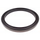 Oil seal 136,8х165х13 RWDR-K7-S3 (NBR) - 12019619В [Corteco]