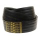 Wrapped banded belt 0325209 [Gates Agri]