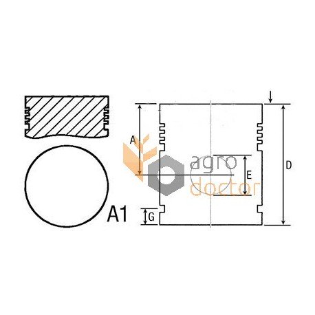 739845M91 Piston with wrist pin for Massey Ferguson engine, 5 rings