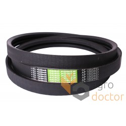 Wrapped banded belt AP1003607 [Optibelt]