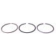 Piston ring set 3641316M91 Massey Ferguson engine Perkins, (3 rings], [NE]