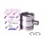 Piston with wrist pin for engine - 3044486R3 CASE 5 rings