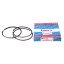 Piston ring set, 3 rings 3139594R91 CASE [Bepco]