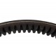 Variable speed belt AP1001159 [Optibelt]