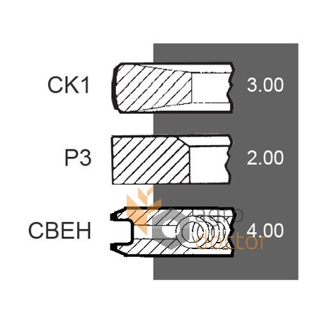 Piston ring set 22/34-217 [Bepco]