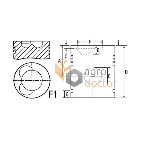 Piston 116 mm with wrist pin (set)