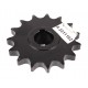 Elevator drive sprocket 231116 Claas Tucano