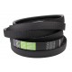 0005441720 suitable for Claas - Wrapped banded belt AP1001745 [Optibelt ]