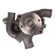 Water pump 4222656M9 Massey Ferguson, engine U5MW0180 Perkins