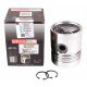 Piston with pin for engine - 740821M91 Massey Ferguson [Sonne]