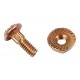 Screw with nut H125891/92 John Deere, 5,5x16