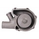 Water pump (2 hose holes) for engine - 3641861M91 Massey Ferguson