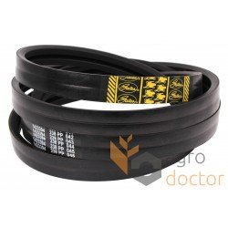 Wrapped banded belt 1423394 [Gates]