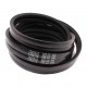 Wrapped banded belt 1423319 [Gates Agri] - 0000617001