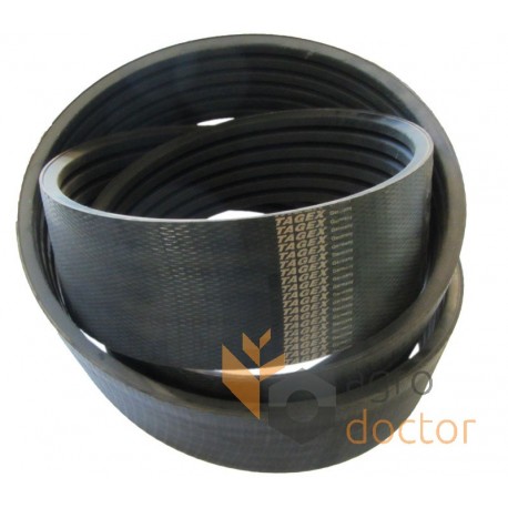 Wrapped banded belt 6HB-3320 [Tagex]