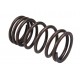 Outside valve spring 0780272 [Bepco]