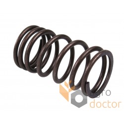 Outside valve spring 0780272 [Bepco]