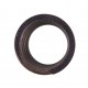 Outside valve spring 0780272 [Bepco]