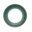 Oil seal RE59810 John Deere RE59810 suitable for John Deere [Agco Parts]