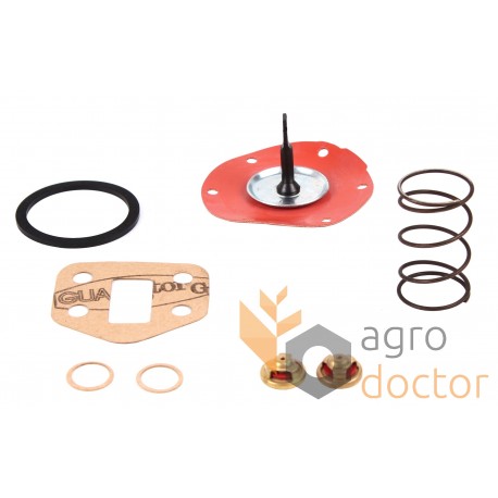 Repair kit for Perkins fuel pump