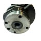 Crankshaft RE45517