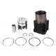 Piston kit set 21/31-136 for Deutz diesel engine, 4 rings